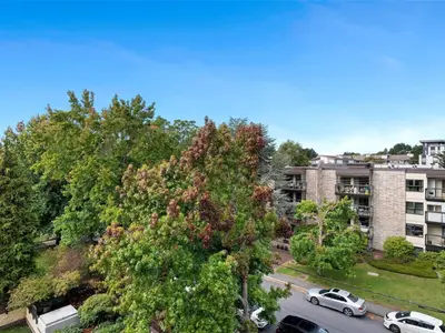 View 23