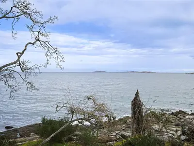 View 5