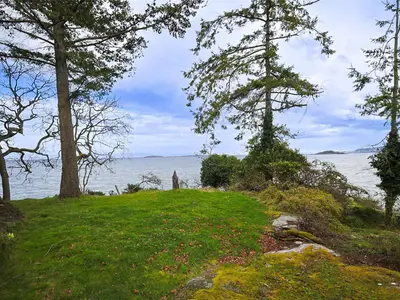 View 11