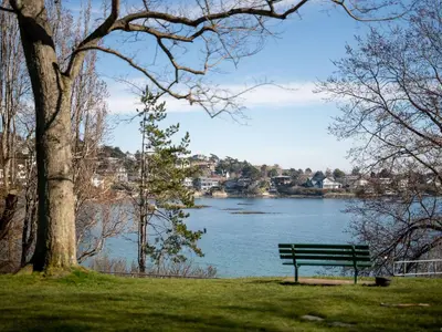 View 42