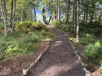 View 15
