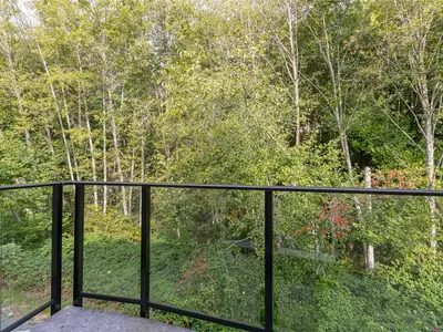 View 41