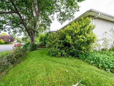 View 25