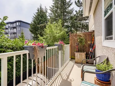 View 25