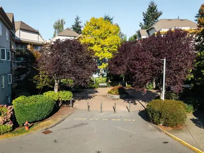 View 26