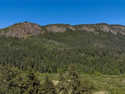 View 37