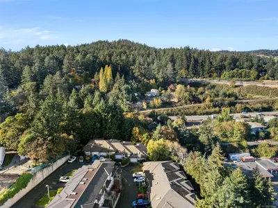 View 27