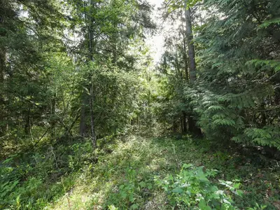 View 36