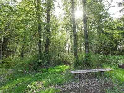 View 39