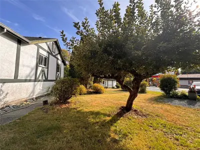 View 19