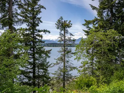 View 25