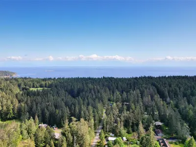 View 65