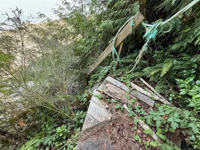View 5