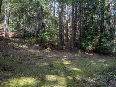 View 28
