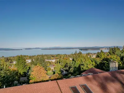 View 42