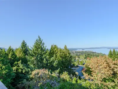View 15