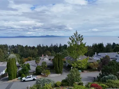 View 77