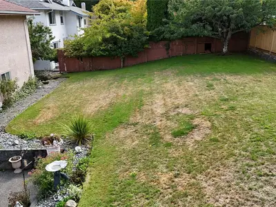 View 80