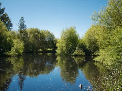View 93