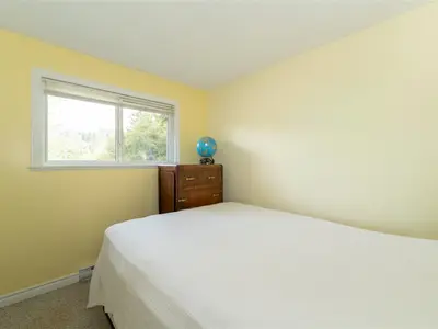 View 41