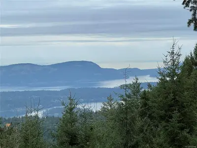 View 3