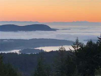 View 67