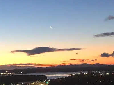 View 37