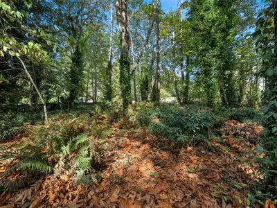 View 71