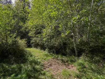 View 42