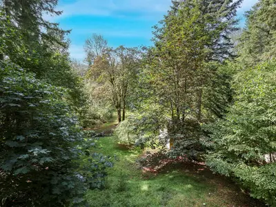 View 30