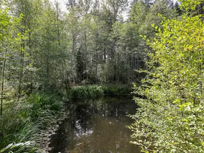 View 38