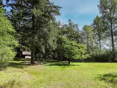 View 39
