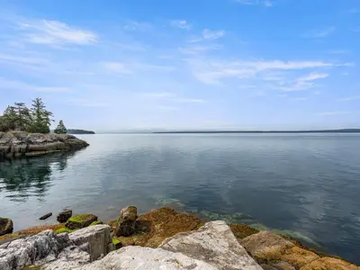 View 43