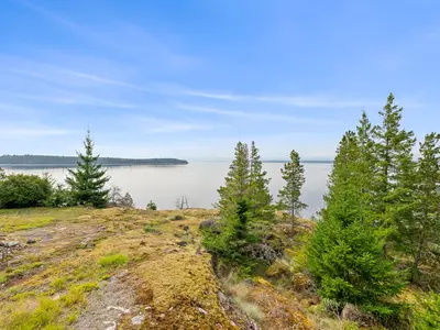 View 86