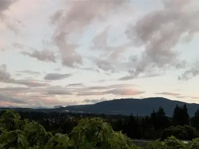 View 77
