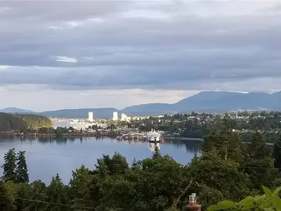 View 81