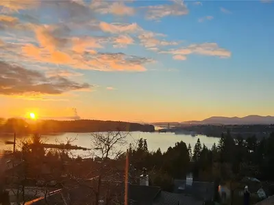 View 86