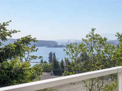 View 51