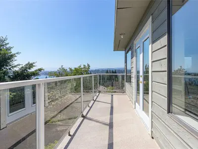 View 50