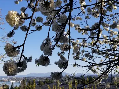 View 70