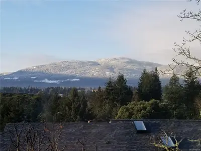 View 78
