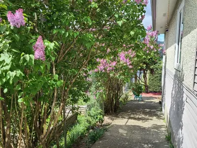 View 49