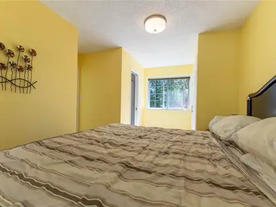 View 31