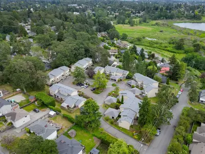 View 50