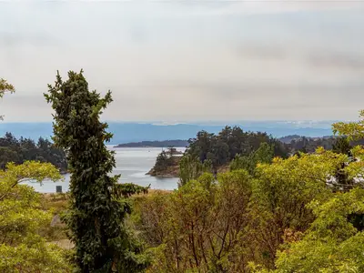 View 37