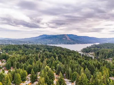 View 33