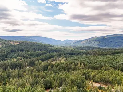 View 35
