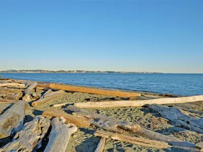 View 43