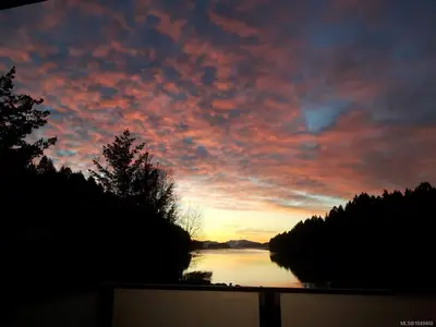View 85