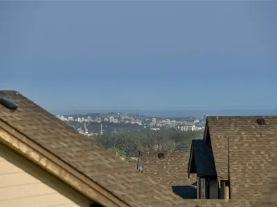 View 12